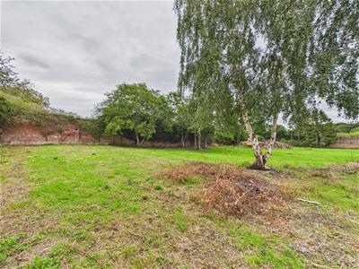 Picture 20